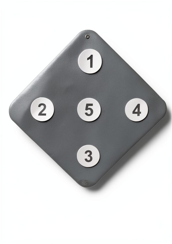Fencing Target YANGLEI Artificial Leather Wall-1