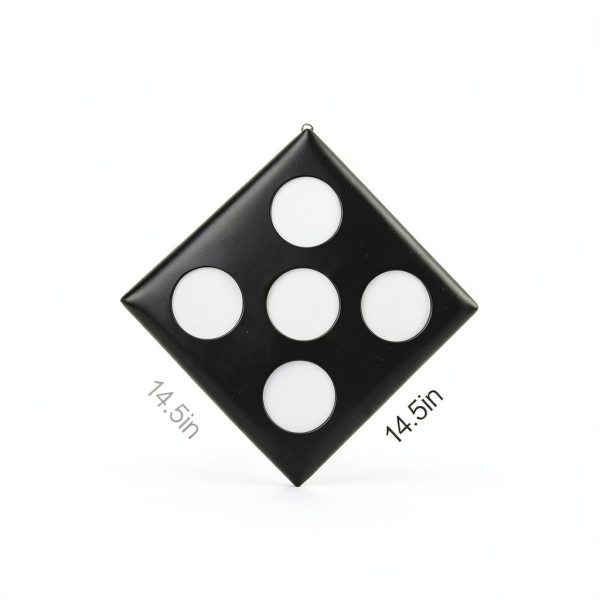 Shimeyao Fencing Target PU Leather 5 Bullseyes-2